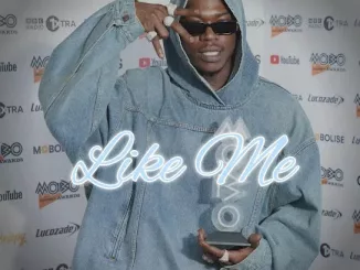 Skillibeng – Like Me Download